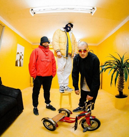 Грибы Грибы