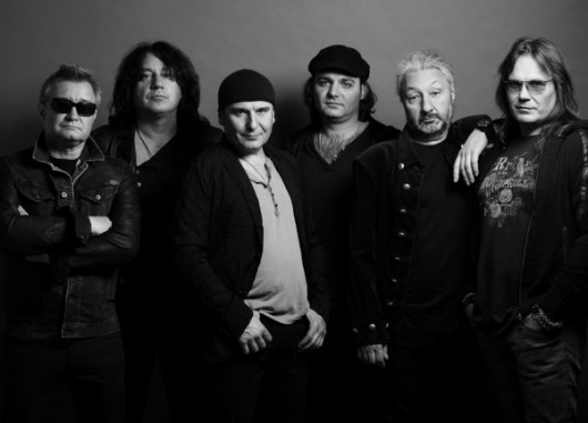 Цветы Цветы