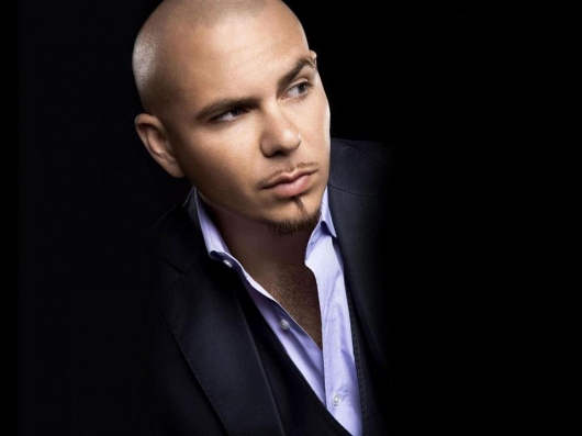 Pitbull Pitbull