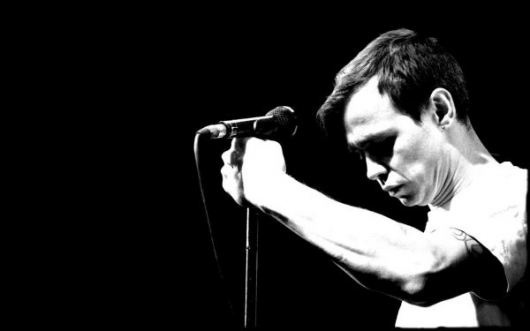 Дельфин Дельфин