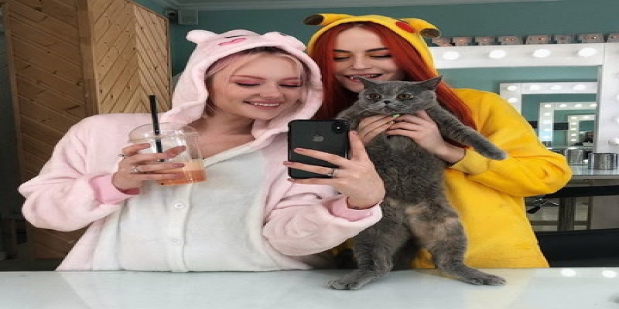 «Кис-кис» готовят первые стадионные концерты