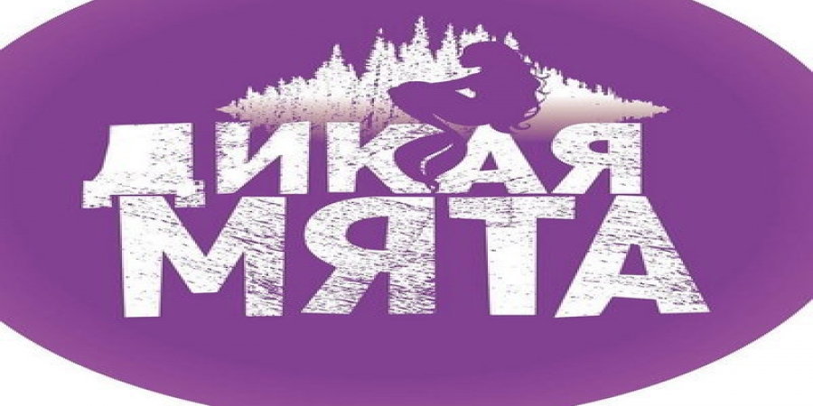 Организаторы «Дикой мяты» открыли сбор денег для спасения фестиваля