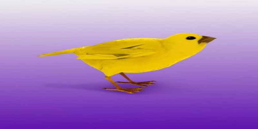 Монеточка почувствовала себя есенинским хулиганом в «Шаганэ» (Слушать)