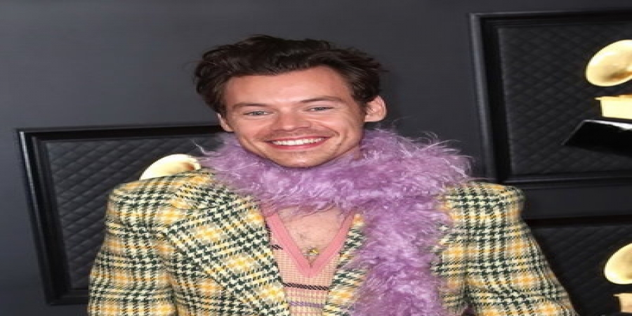 Гарри Стайлз отказался от приезда в Москву