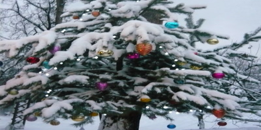 Выбираем новогодние песни, которые нельзя забыть: ABBA, Бузова или “Зодчие”?