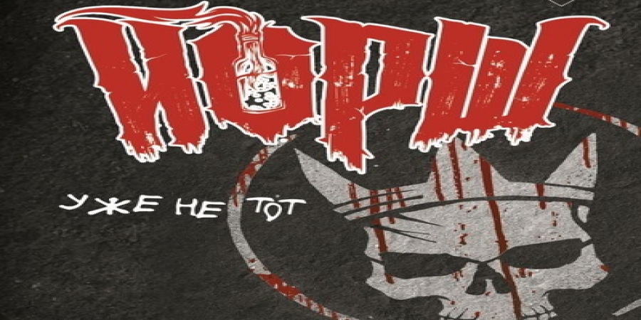 Музыканты группы «Йорш» представят музыкальную биографию в книжном магазине