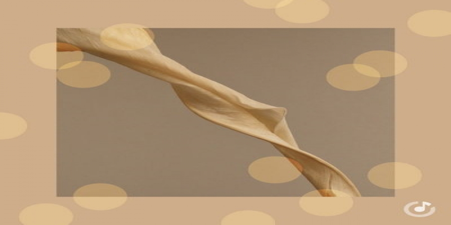 Музыкальные комплименты и оды женщинам собраны в плейлист